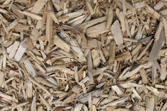 biomass boilers Trembraze